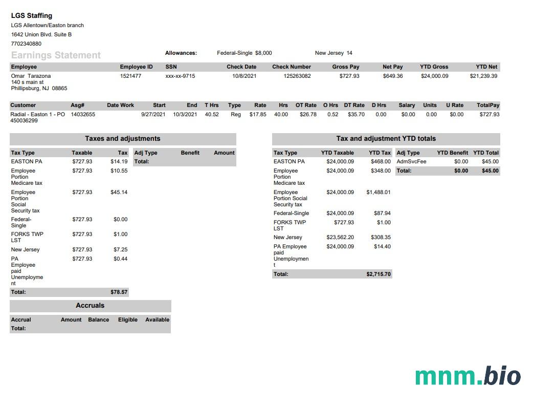 LGS Staffing Pay stub w formacie PDF i Word